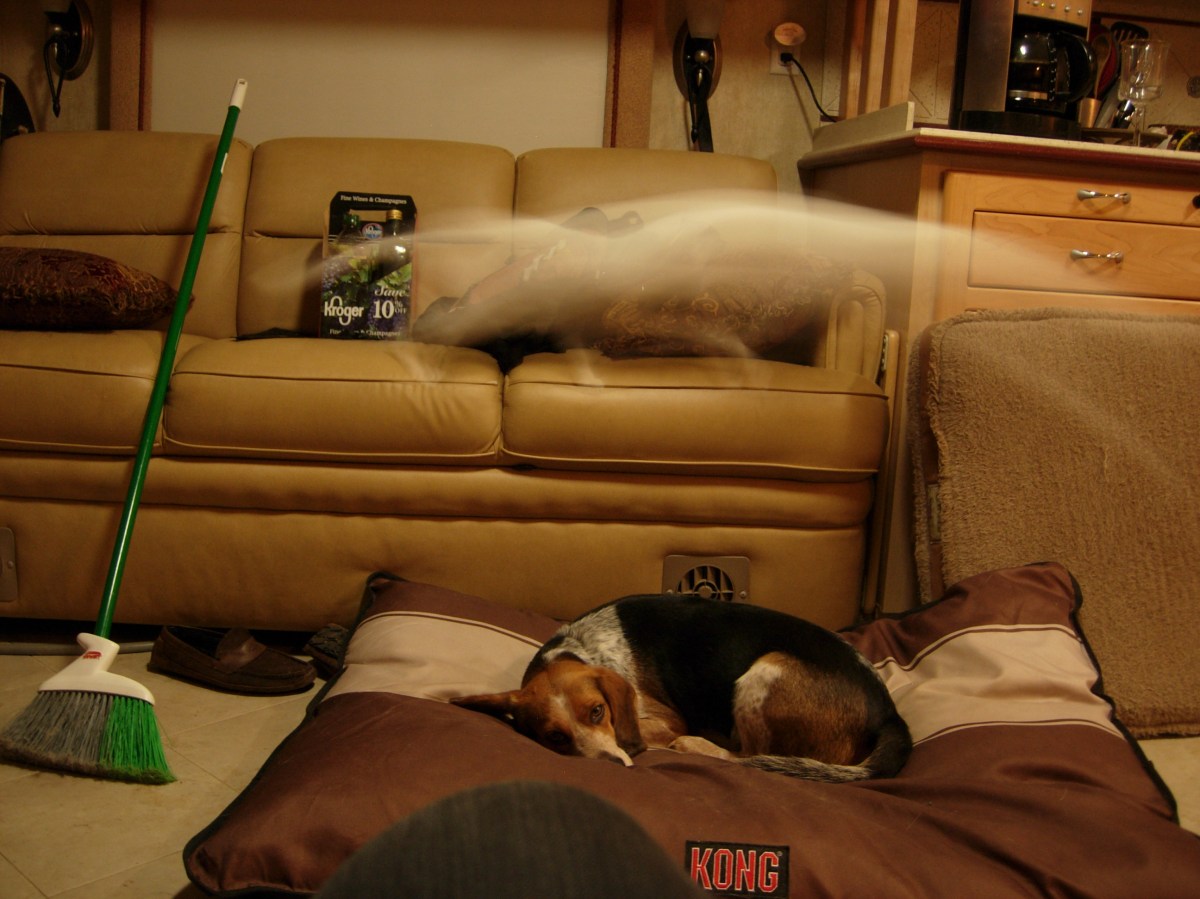 Weekly Photo Challenge Oops Wild Currents